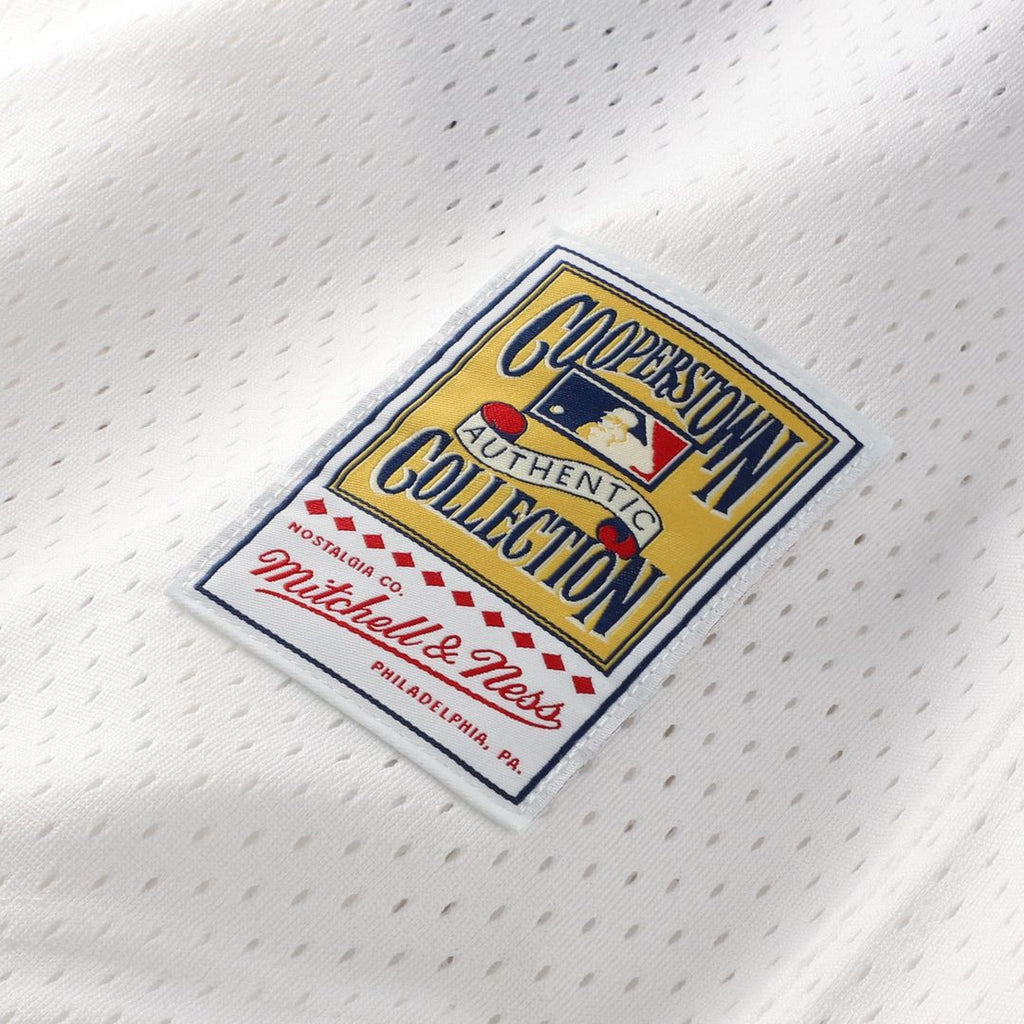 Men's Chicago White Sox Carlton Fisk White Batting Practice MLB Baseball Jersey - view 7