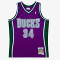 Men's Milwaukee Bucks Swingman NBA Basketball Jersey Ray Allen 2001-02 - view 1