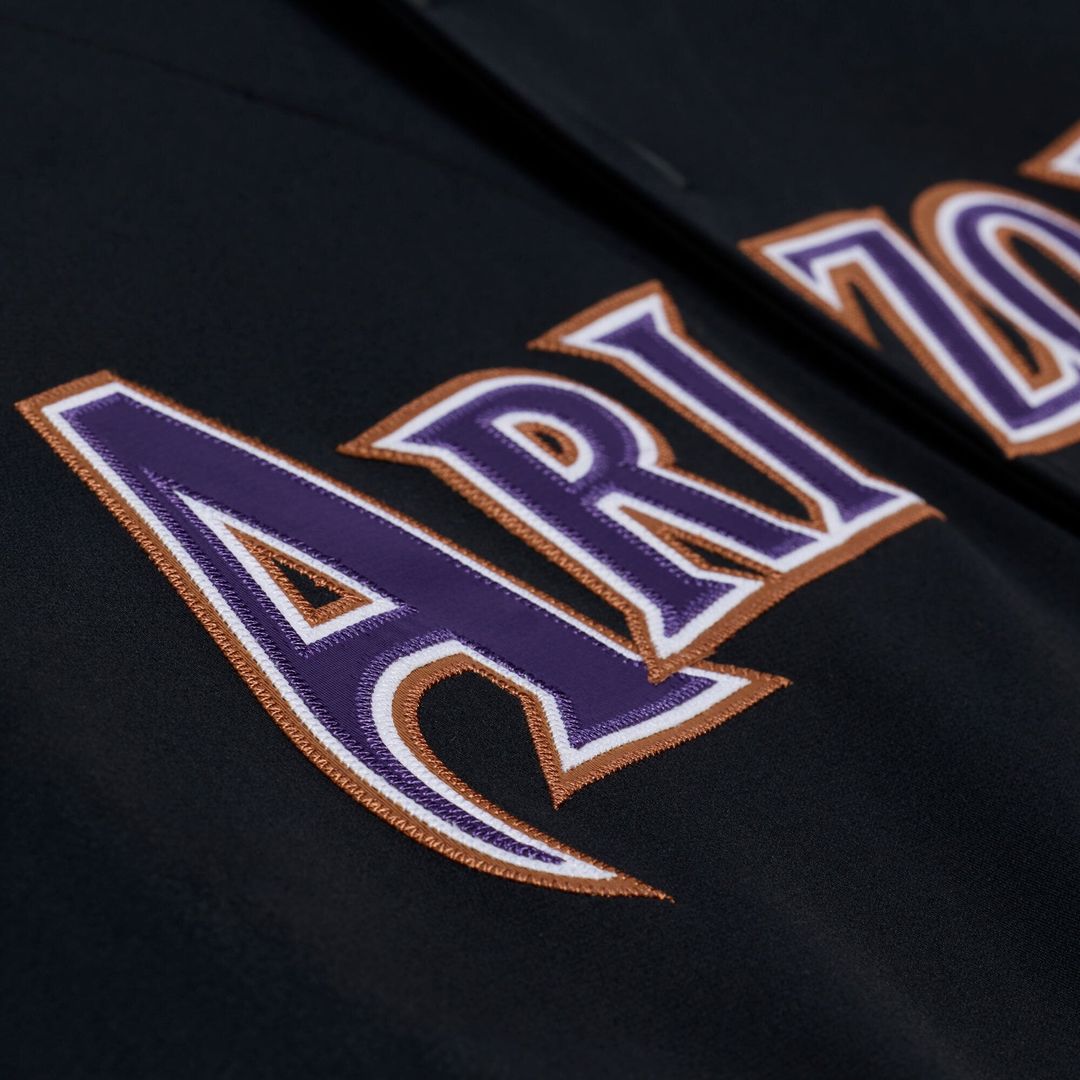 Men's Arizona Diamondbacks Randy Johnson Black 2001 MLB Baseball Jersey - view 3