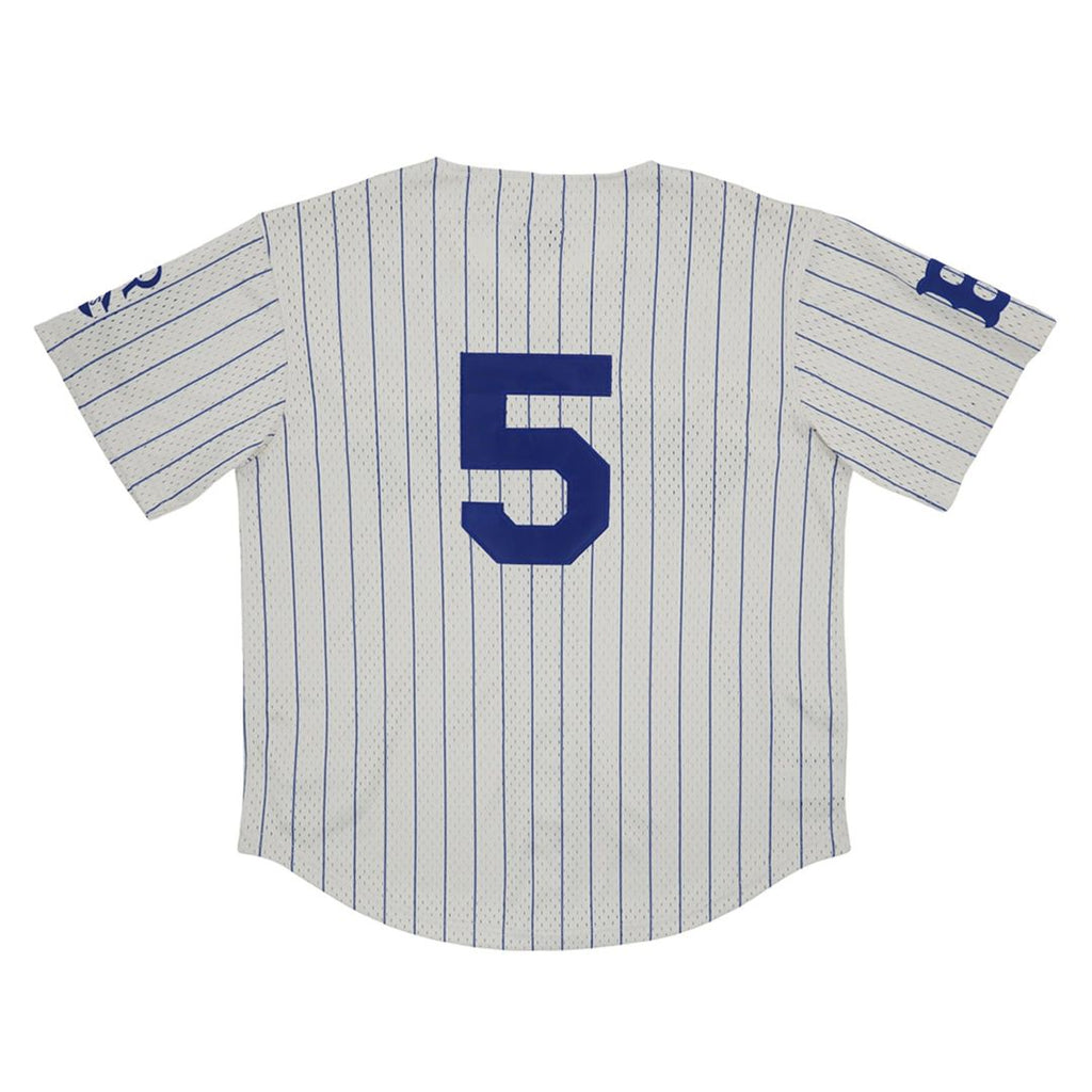 Men's Brooklyn Royal Giants #5 Cream Mesh Button-Down Replica MLB Baseball Jersey - view 3