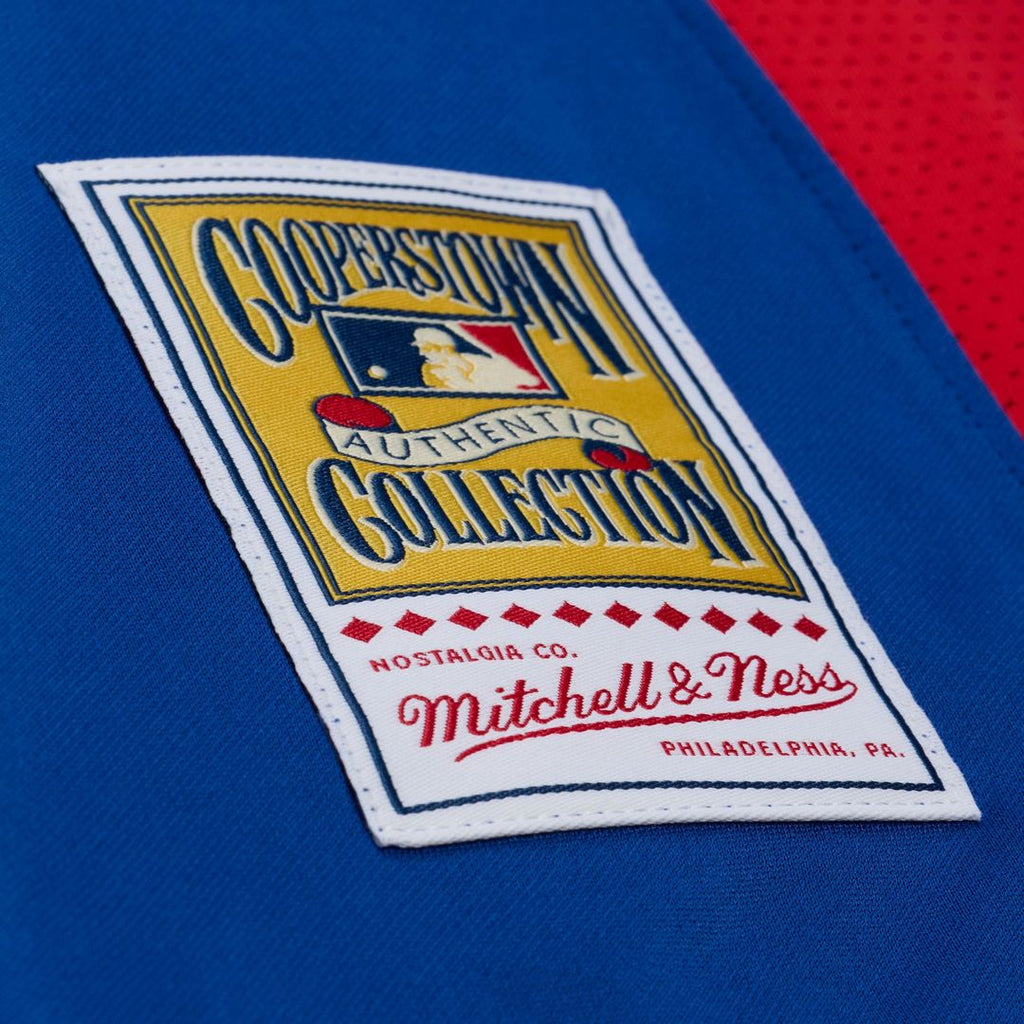 Men's Texas Rangers Adrian Beltre Royal Cooperstown Mesh Batting Practice Button-Up MLB Baseball Jersey - view 3