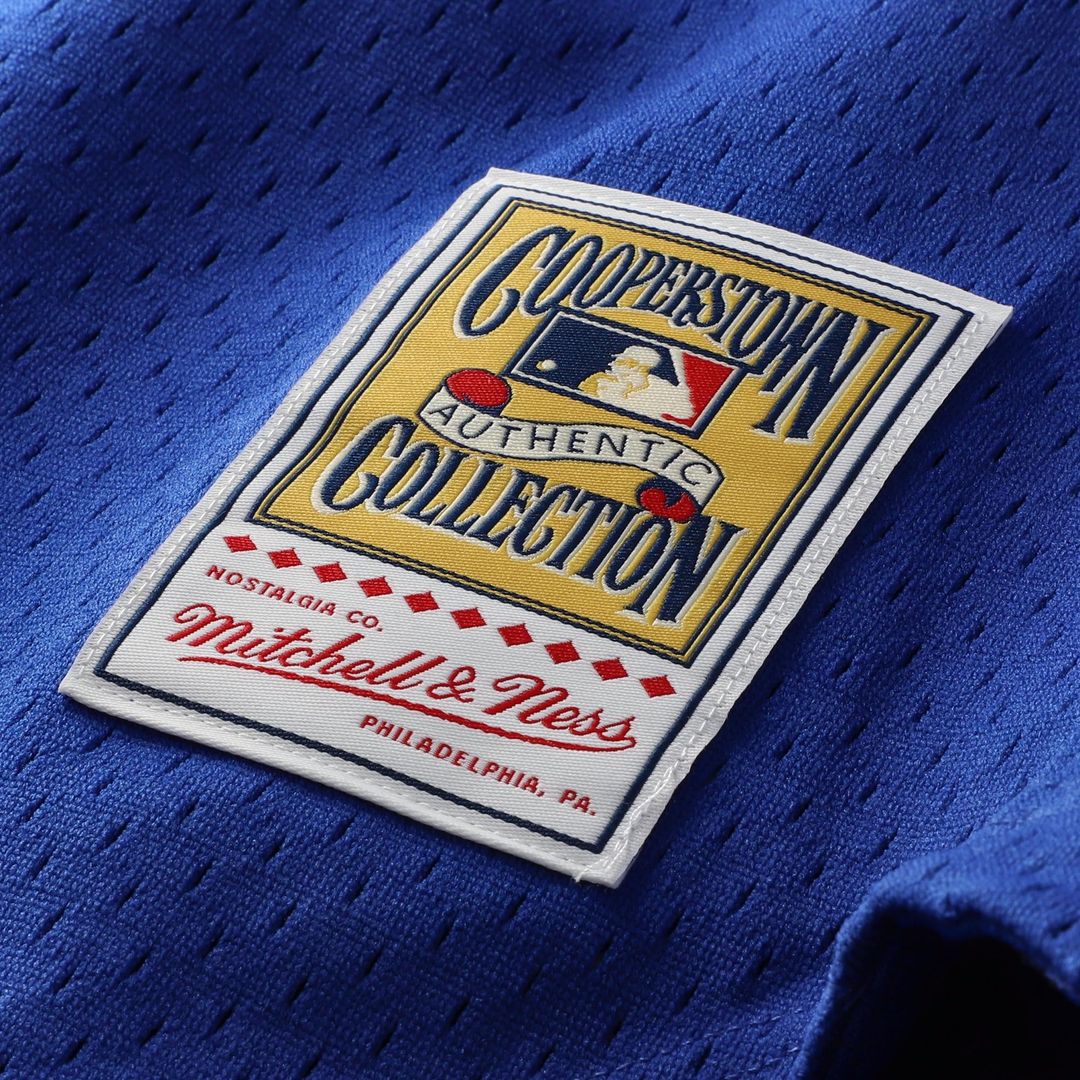 Men's Chicago Cubs Ryne Sandberg Royal Cooperstown Collection 1997 Mesh Batting Practice Button-Up MLB Baseball Jersey - view 7