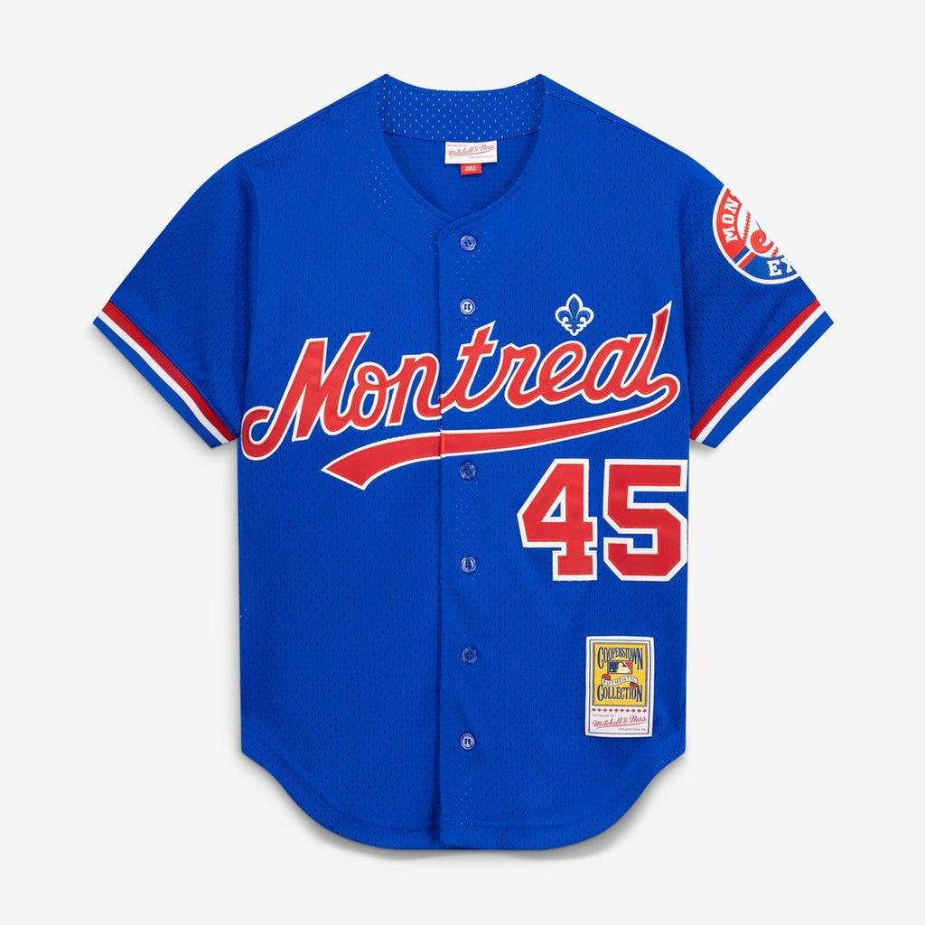 Men's Montreal Expos Pedro Martinez Blue Cooperstown Collection Mesh Batting Practice Button-Up MLB Baseball Jersey - view 2