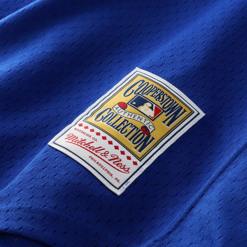 Men's Atlanta Braves Dale Murphy Royal Batting Practice MLB Baseball Jersey - view 7