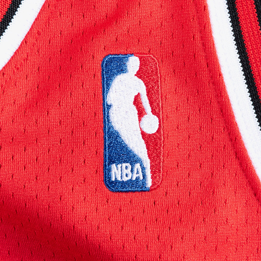 Men's Chicago Bulls NBA Basketball Jersey Road Finals Michael Jordan 1995-96 - view 5