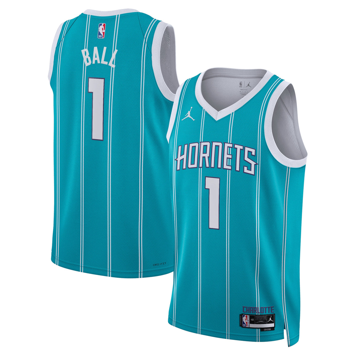 Unisex LaMelo Ball Charlotte Hornets Icon Edition Swingman NBA Basketball Jersey - Teal - view 1