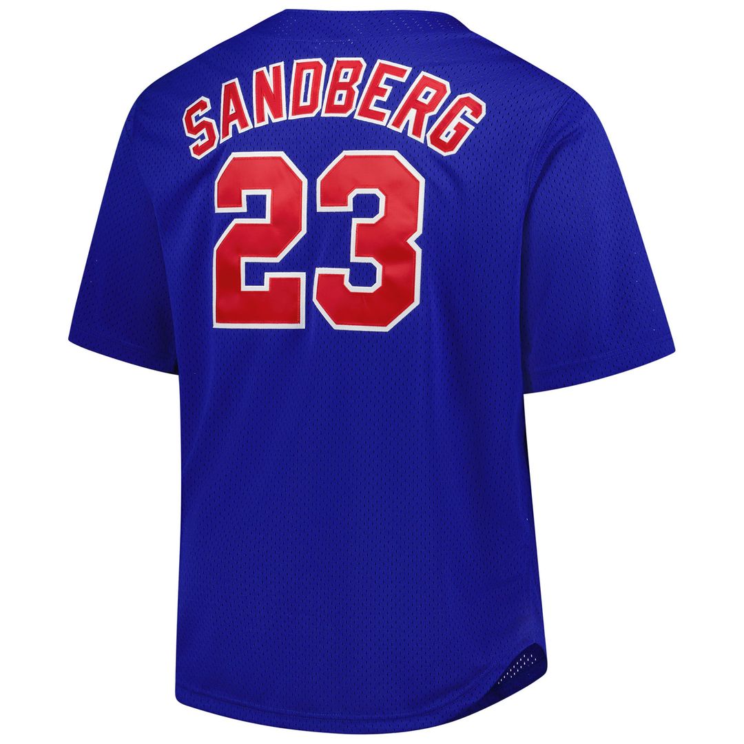 Men's Chicago Cubs Ryne Sandberg Royal Big & Tall Cooperstown Mesh Batting Practice MLB Baseball Jersey - view 3
