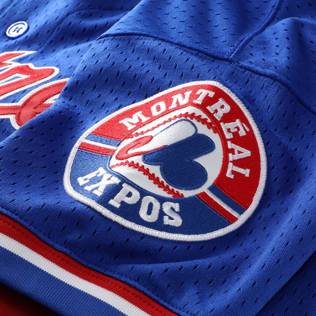 Men's Montreal Expos Pedro Martinez Blue Cooperstown Collection Mesh Batting Practice Button-Up MLB Baseball Jersey - view 6