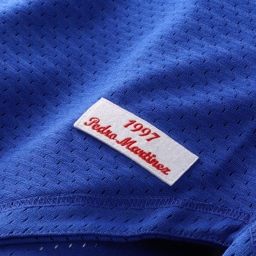 Men's Montreal Expos Pedro Martinez Blue Cooperstown Collection Mesh Batting Practice Button-Up MLB Baseball Jersey - view 7