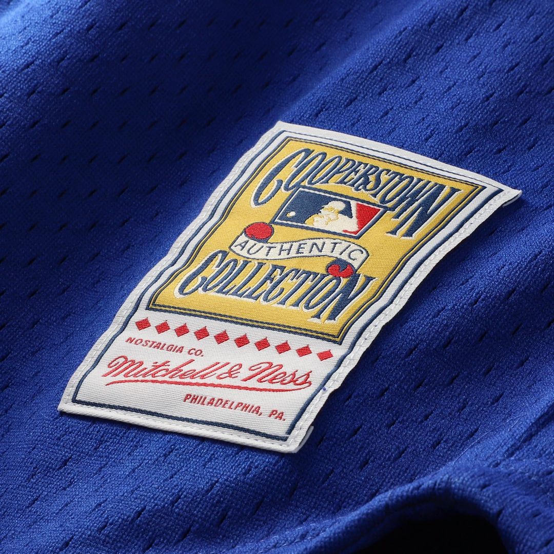 Men's Chicago Cubs Ryne Sandberg Royal Cooperstown Collection 1996 Mesh Batting Practice Button-Up MLB Baseball Jersey - view 7
