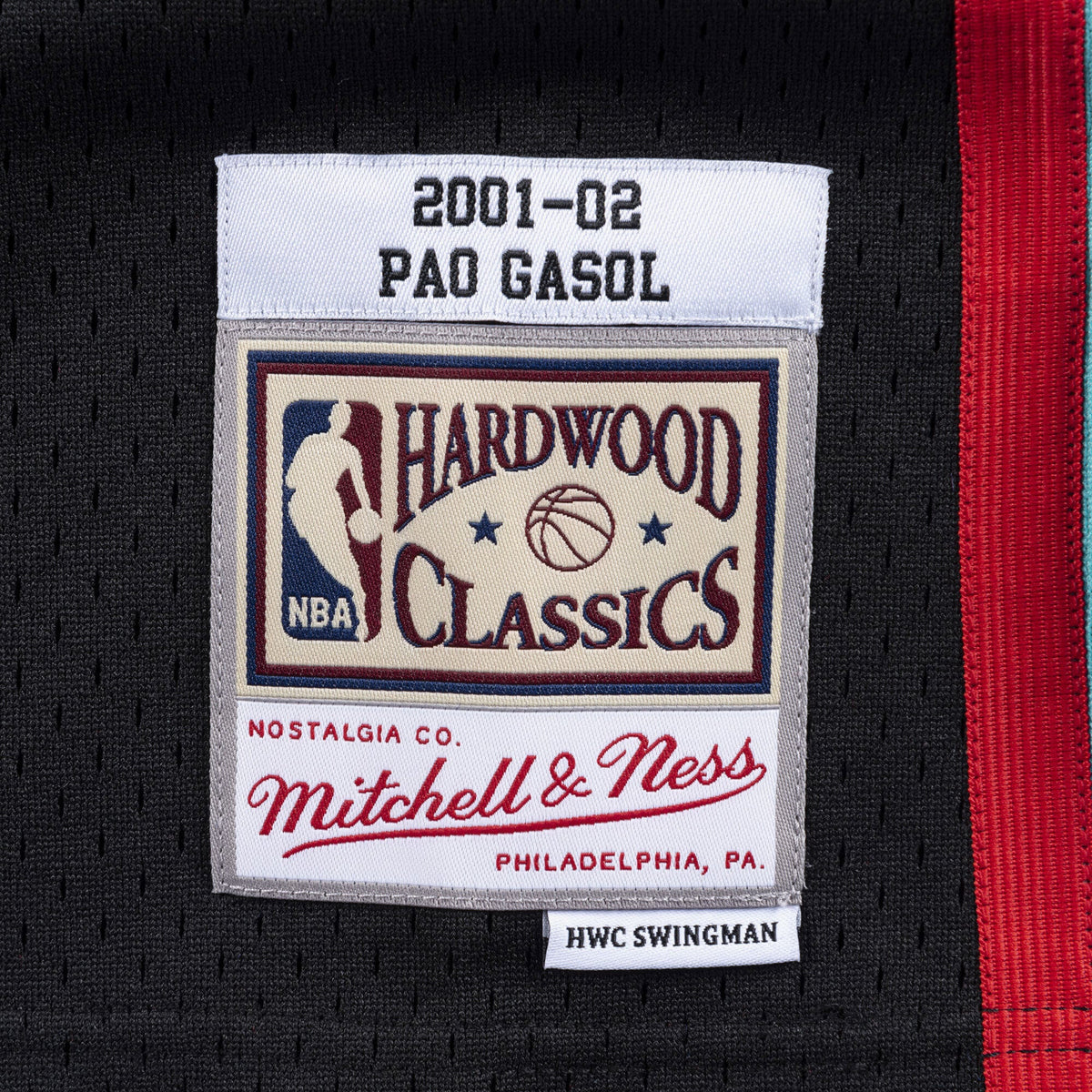 Men's Memphis Grizzlies Swingman NBA Basketball Jersey Pau Gasol 2001-02 - view 4