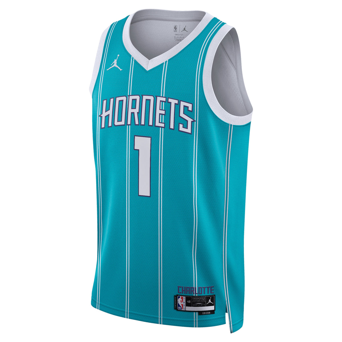 Unisex LaMelo Ball Charlotte Hornets Icon Edition Swingman NBA Basketball Jersey - Teal - view 2