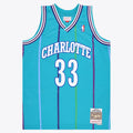 Men's Charlotte Hornets NBA Swingman Jersey - Alonzo Mourning - view 1