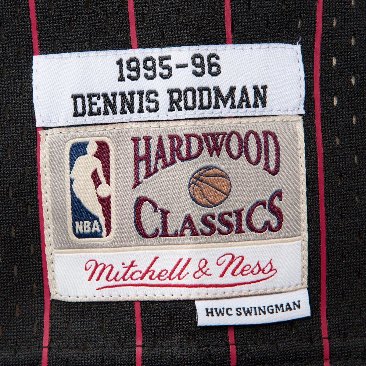 Men's Chicago Bulls Swingman NBA Basketball Jersey Alternate Dennis Rodman 1995-96 - view 4